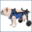 New 1pcs Pet Wheelchair Cart Adjustable Pet Mobility Aids with Wheels Disabled Cat Dog Rehabilitation Walking Mobility Aid Troll