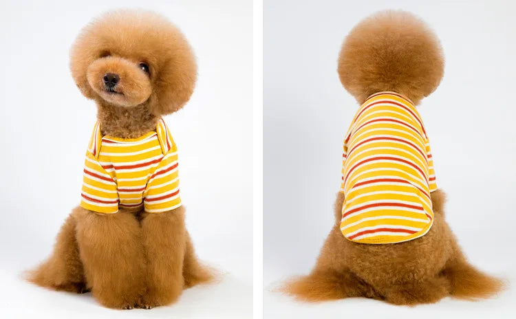 Jacket and Underwear Dog Clothes Autumn and Winter Clothes Small Medium Dog Fleece-lined Thickened Pet Vest Cotton Vest