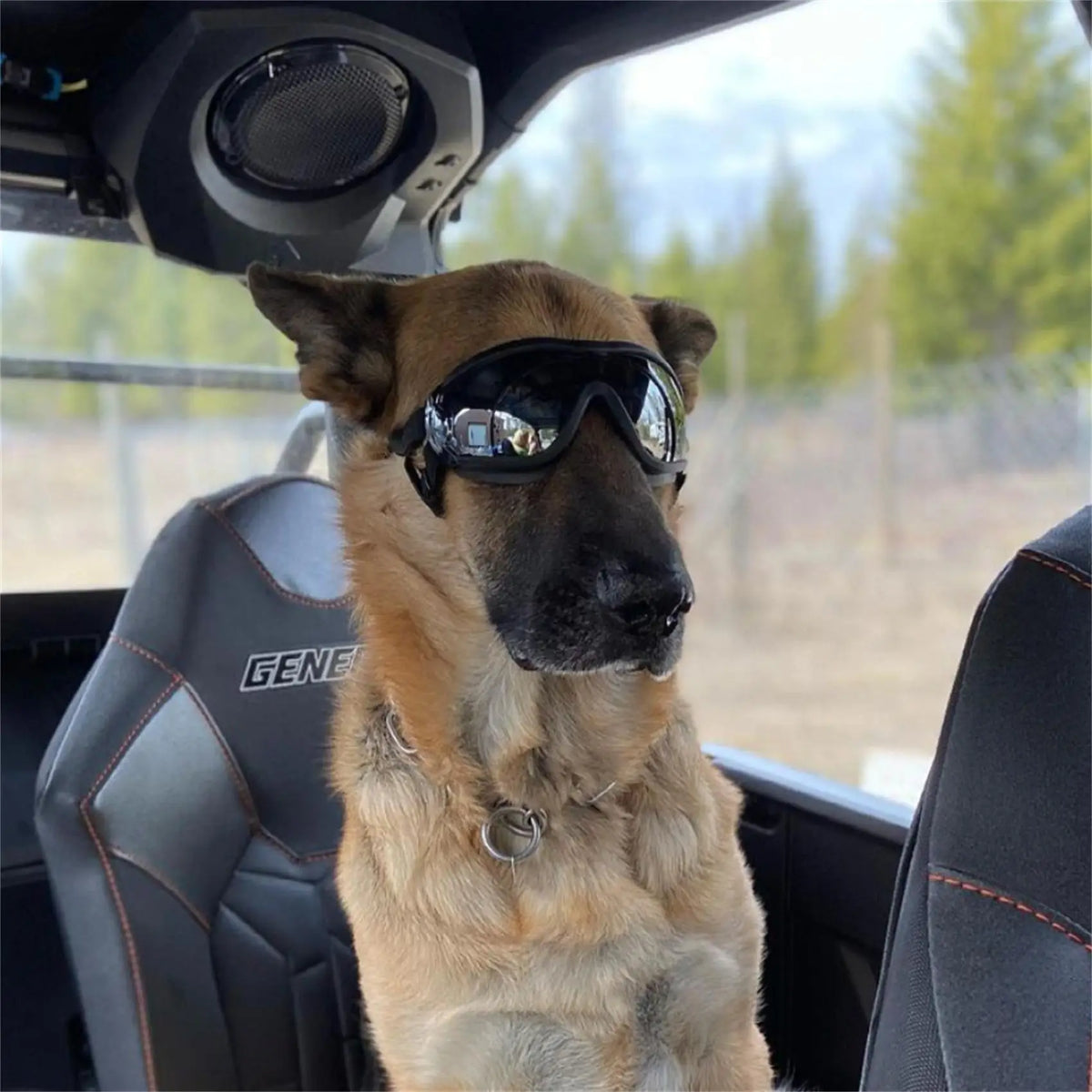 Transparent Color Pet Dog Goggles Waterproof Windproof Sunscreen UV Resistant Large Dog Glasses