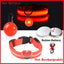 Usb Charging Glowing Dog Collar With Pendant Detachable Luxury Led Light Bright For Small Dogs Cat Night Safety Collar Wholesale