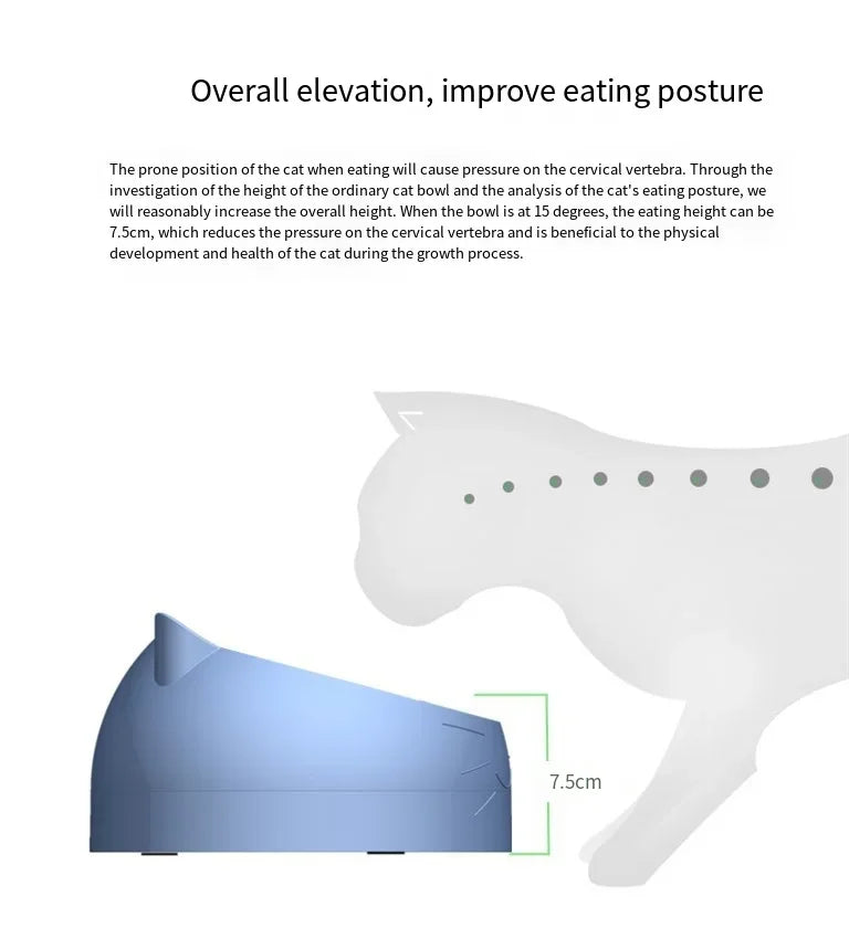 15-Degree Raised Stainless Steel Pet Bowl