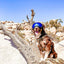Dog Goggles Sunglasses Anti-UV Sun Glasses Eyewear Protection Adjustable Windproof Sunglasses Pet Dog Supplies For Travel