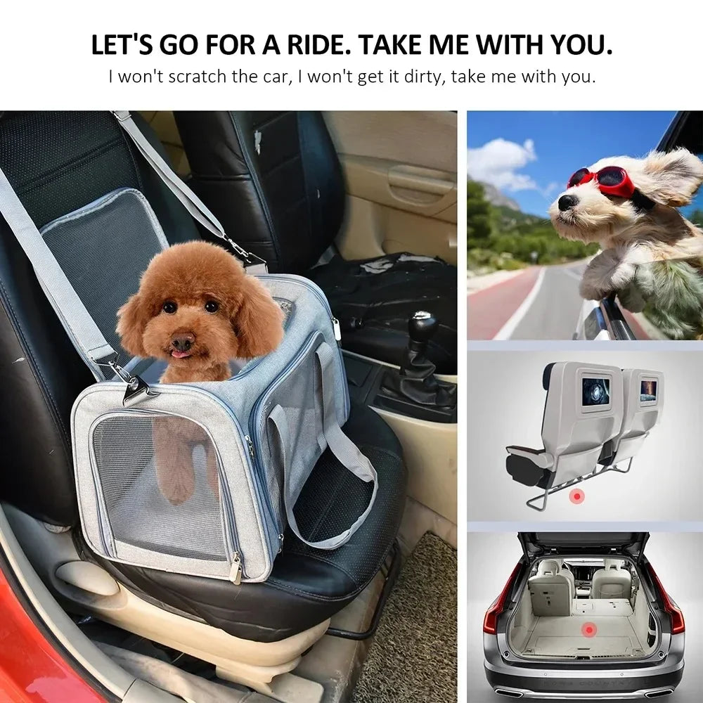Pet Carrier Bag - Airline Approved, High-Quality, Durable, Expandable