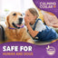 Pet Calm Collar Cat Dog Soothe Collar Adjustable Neck Strap Relieve Anxiety Remove Restlessness Protection Relax Pet Supplies
