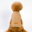 Jacket and Underwear Dog Clothes Autumn and Winter Clothes Small Medium Dog Fleece-lined Thickened Pet Vest Cotton Vest