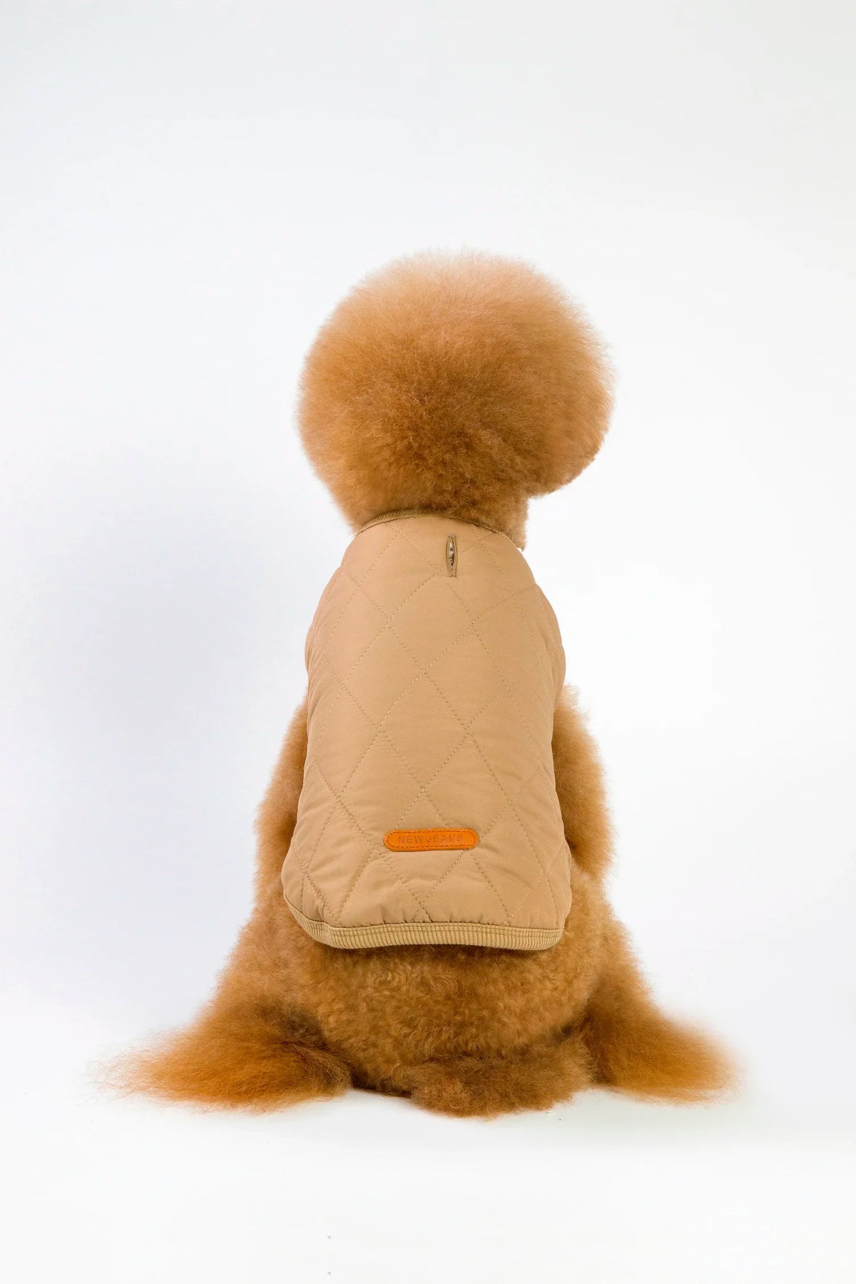 Jacket and Underwear Dog Clothes Autumn and Winter Clothes Small Medium Dog Fleece-lined Thickened Pet Vest Cotton Vest