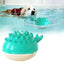 Summer Electric Spray Dog Toys Water Floating Pool Bathtub Pet Bathing Teething Dog Toys Human-Pet Interaction Products