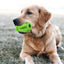 Dog Treat Dispenser Toy Soft Rubber Puppy Chew Teeth Cleaning Interactiv Supeak Small Dog Snack Toy For Training And Dental Care