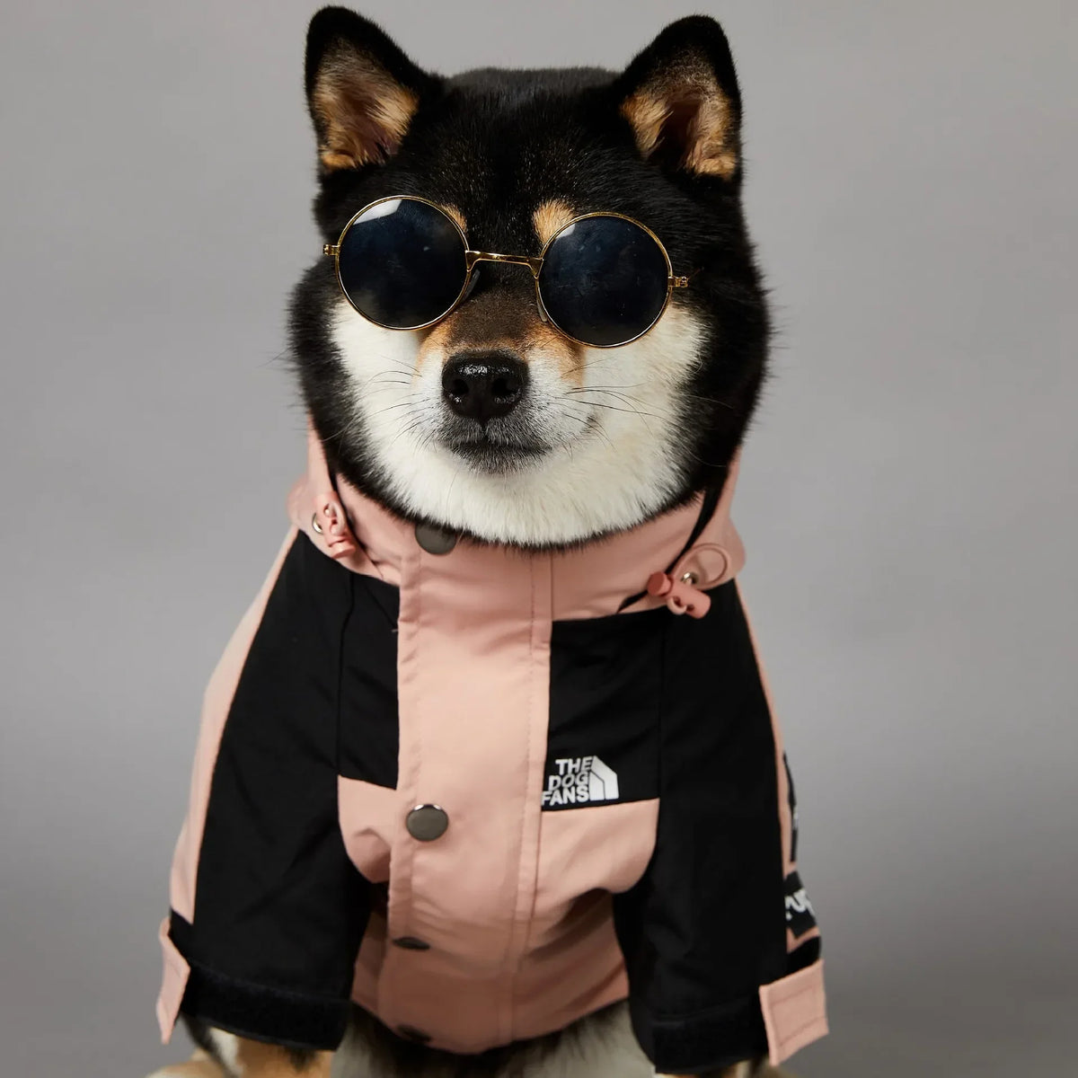 Small Dog Raincoat Clothes for Small Big Dogs Wind Coat Windbreaker French Bulldog Hoodie Octdoor Raincoats Dog Costume Coat