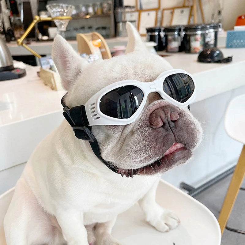Foldable Pet Glasses Dog Goggles Sunglasses Puppy Cat Glasses UV Protection Summer Windproof Dogs Puppy Accessories Pet Supplies