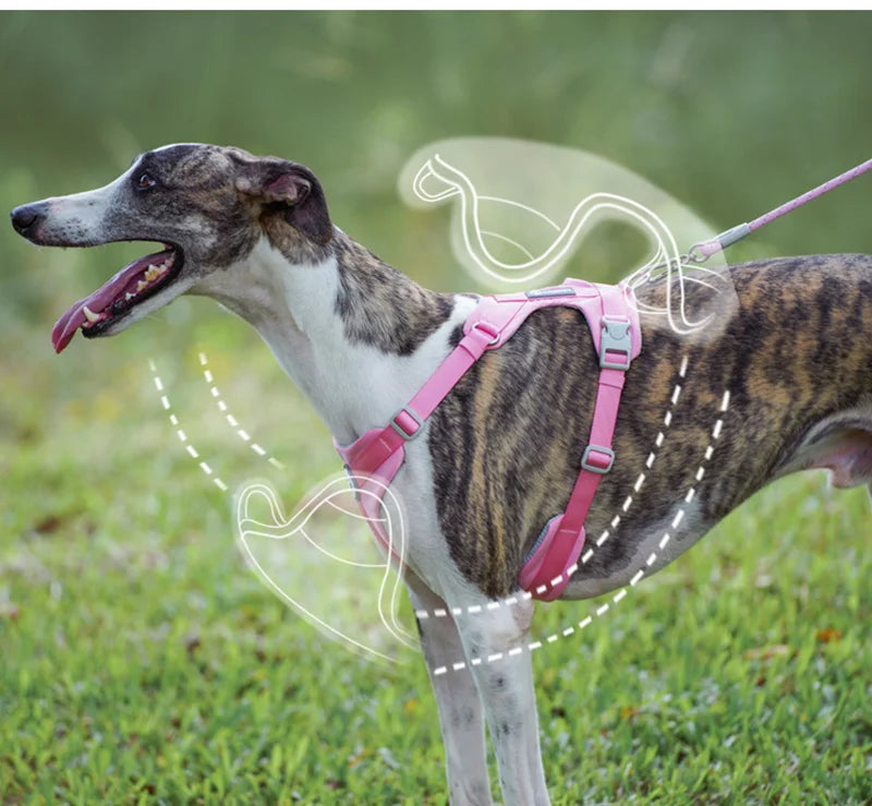 Makaron Series Dog Harness Leash Outdoor Walk Adjustable Pet Chest Strap Breathable Lightweight Pet Harness for Small Medium Dog