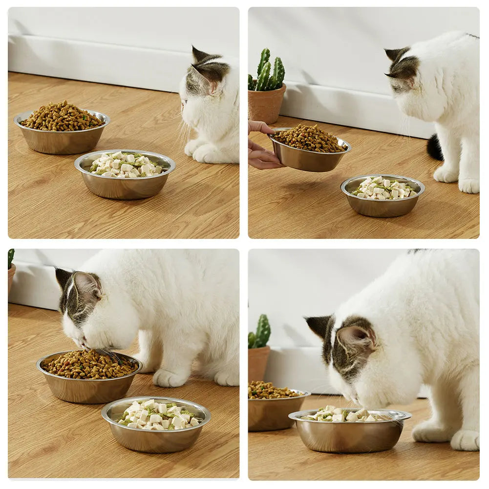 Large Stainless Steel Dog Bowl