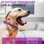 Pet Calm Collar Cat Dog Soothe Collar Adjustable Neck Strap Relieve Anxiety Remove Restlessness Protection Relax Pet Supplies