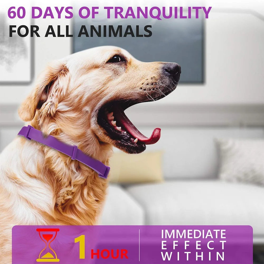 Pet Calm Collar Cat Dog Soothe Collar Adjustable Neck Strap Relieve Anxiety Remove Restlessness Protection Relax Pet Supplies
