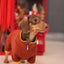 Fashion Red Dachshund Pajamas – Soft Stretch Winter & Spring Clothes for Sausage Dogs