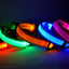 Usb Charging Glowing Dog Collar With Pendant Detachable Luxury Led Light Bright For Small Dogs Cat Night Safety Collar Wholesale