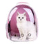 Airline Approved Pet Backpack - Transparent Space Capsule