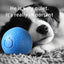 Smart Dog Toy Ball Automatic Interactive Pet Electronic Rolling USB Rechargeable Moving Bouncing for Puppy to Large dog Chew Toy