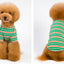 Jacket and Underwear Dog Clothes Autumn and Winter Clothes Small Medium Dog Fleece-lined Thickened Pet Vest Cotton Vest