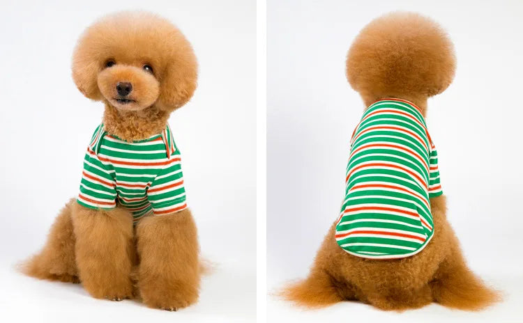 Jacket and Underwear Dog Clothes Autumn and Winter Clothes Small Medium Dog Fleece-lined Thickened Pet Vest Cotton Vest