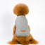 Jacket and Underwear Dog Clothes Autumn and Winter Clothes Small Medium Dog Fleece-lined Thickened Pet Vest Cotton Vest