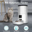 Wholesale 4L Automatic Cat Self Diet Feeder Dog Feeder Smart Stainless Steel Double Bowl Cat Feeder