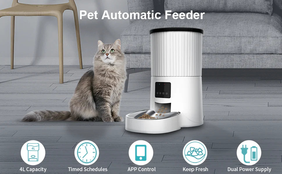 Wholesale 4L Automatic Cat Self Diet Feeder Dog Feeder Smart Stainless Steel Double Bowl Cat Feeder