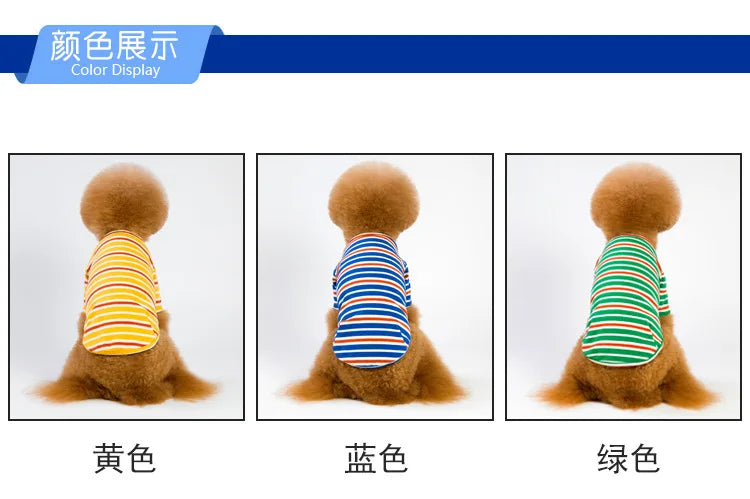 Jacket and Underwear Dog Clothes Autumn and Winter Clothes Small Medium Dog Fleece-lined Thickened Pet Vest Cotton Vest
