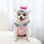 Cartoon Pet Harness Leash Sun Hat Set Cute Kitten Puppy Costume Cat Small Dogs Vest Harness Rope Cap 3pcs Outdoor Pet Supplies