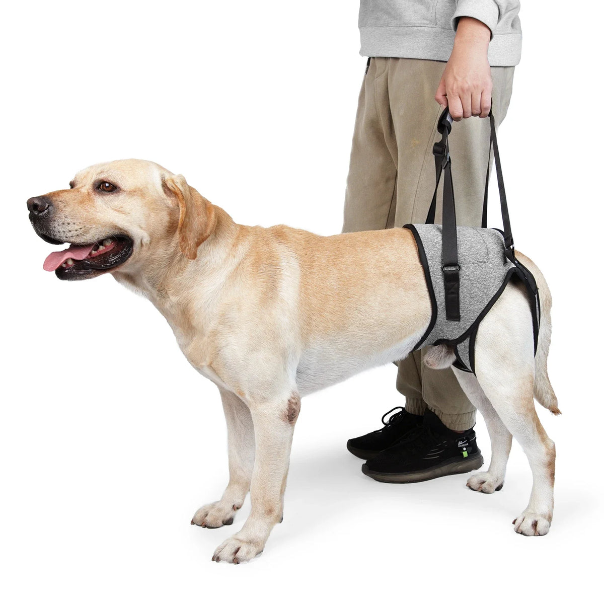 Dog Lift Harness  - Soft Padded Support for Rear Legs