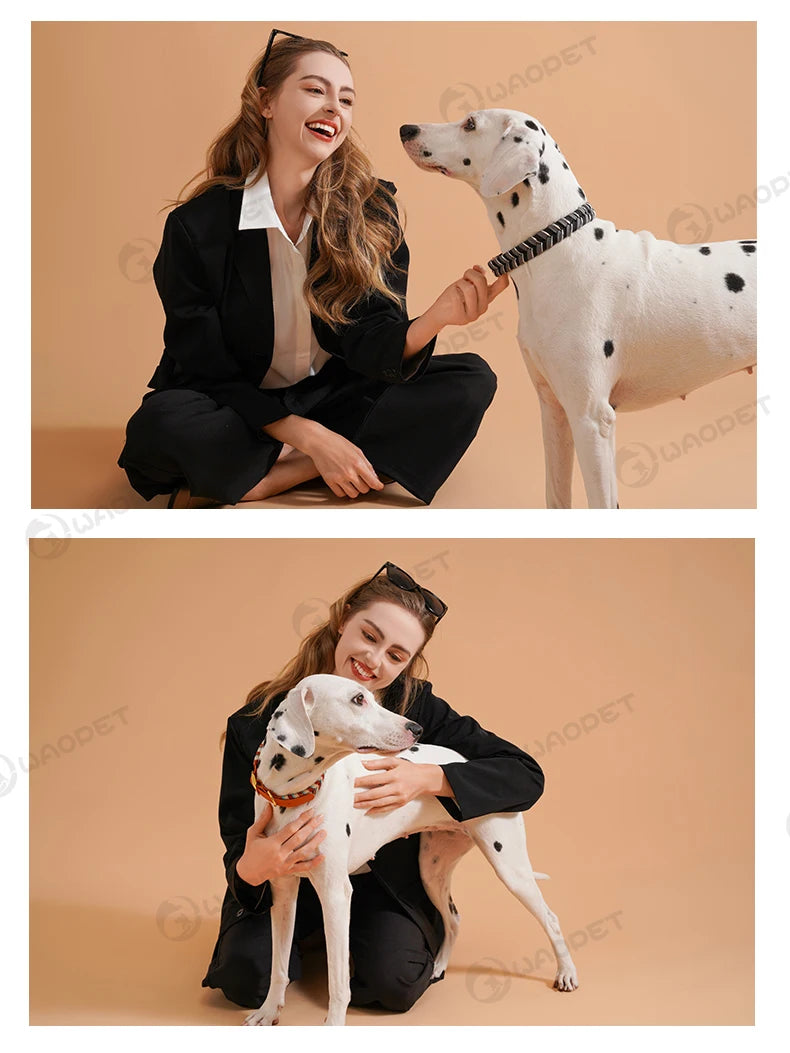 Dog Fashion Collar For Ladies Handmade Design Pet Colorful Neck Ring Small Medium and Large Dogs Lead-collar Wear Supplies