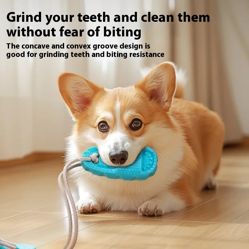 Dog Toy Sucker Chews and Grinds Teeth To Relieve Boredom Border Collie Consumes Energy Dog Toy Pet Supplies Pet Supplies & Pet
