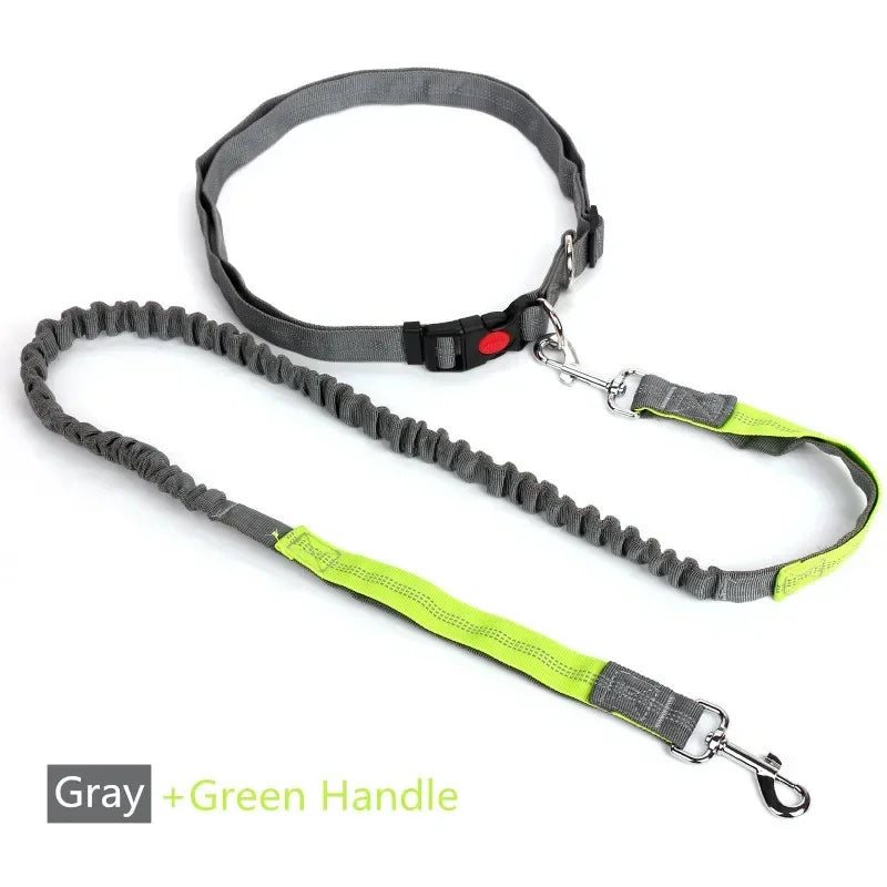 Retractable Dog Leash with Adjustable Waist Rope Hand Free Running Jogging Cycling Big Dogs Pet Elasticity Lead Pet Supplies