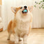 2023 NEW Electric Dog Toys Smart Puppy Ball Toys For Cat Small Dogs Funny Auto Rolling Ball Self-moving Puppy Games Toys Pe
