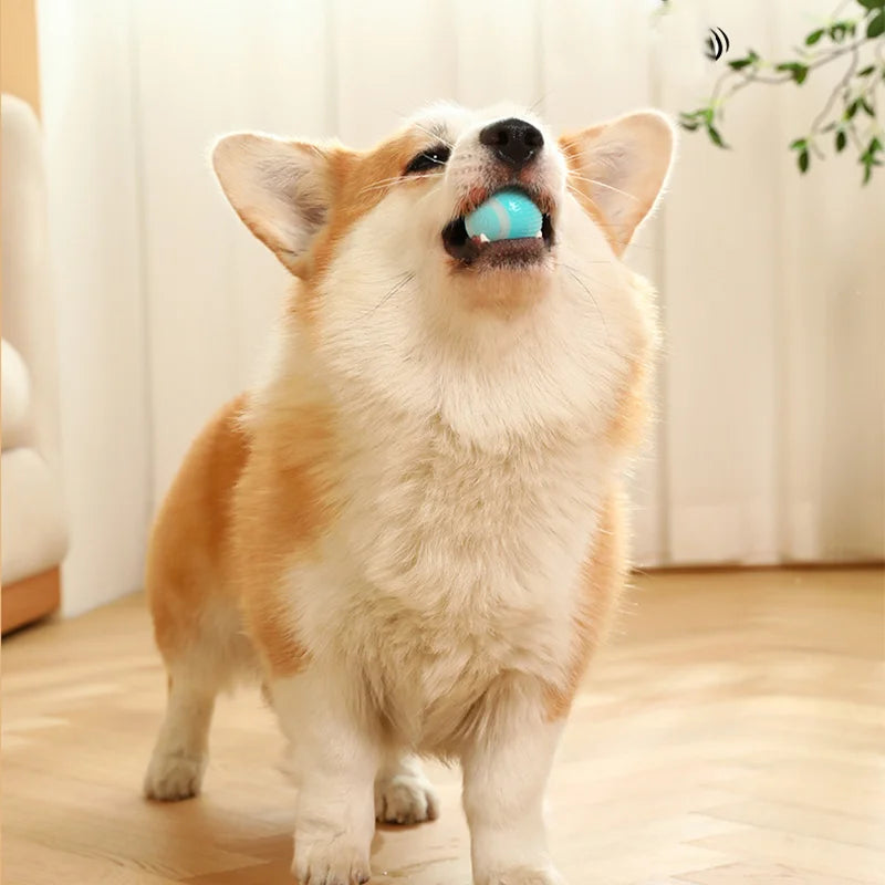 2023 NEW Electric Dog Toys Smart Puppy Ball Toys For Cat Small Dogs Funny Auto Rolling Ball Self-moving Puppy Games Toys Pe