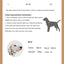 Dog Fashion Collar For Ladies Handmade Design Pet Colorful Neck Ring Small Medium and Large Dogs Lead-collar Wear Supplies