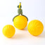 Hot-selling Dog Training Pet Ball Biting Pull Ring Pet Toy Frisbee EVA Foam Bite-resistant Dog Toy