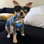 1pc Pet Glasses, Dog Supplies, Goggles, Sun Protection, UV Protection, Dog Sunglasses, Cat Sunglasses
