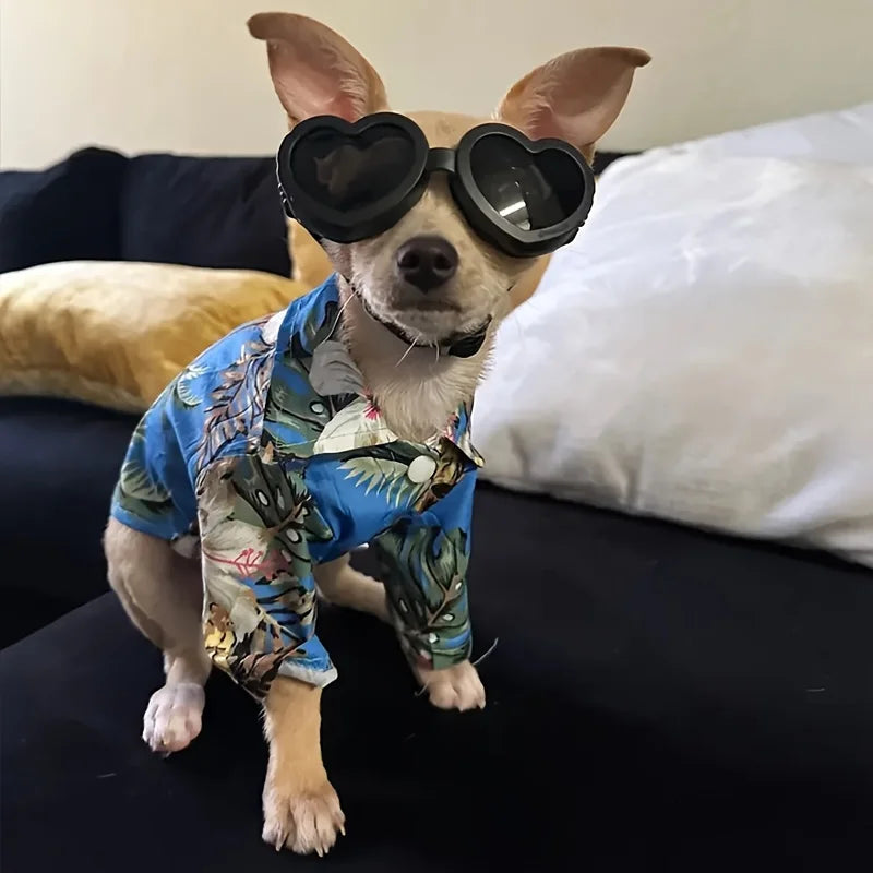 1pc Pet Glasses, Dog Supplies, Goggles, Sun Protection, UV Protection, Dog Sunglasses, Cat Sunglasses