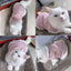 Summer Cat Dog Vest Pet Clothes Puppy T-shirt Breathable Bulldog Clothing Chihuahua French Bulldog Pullover Costumes Kitten Vest