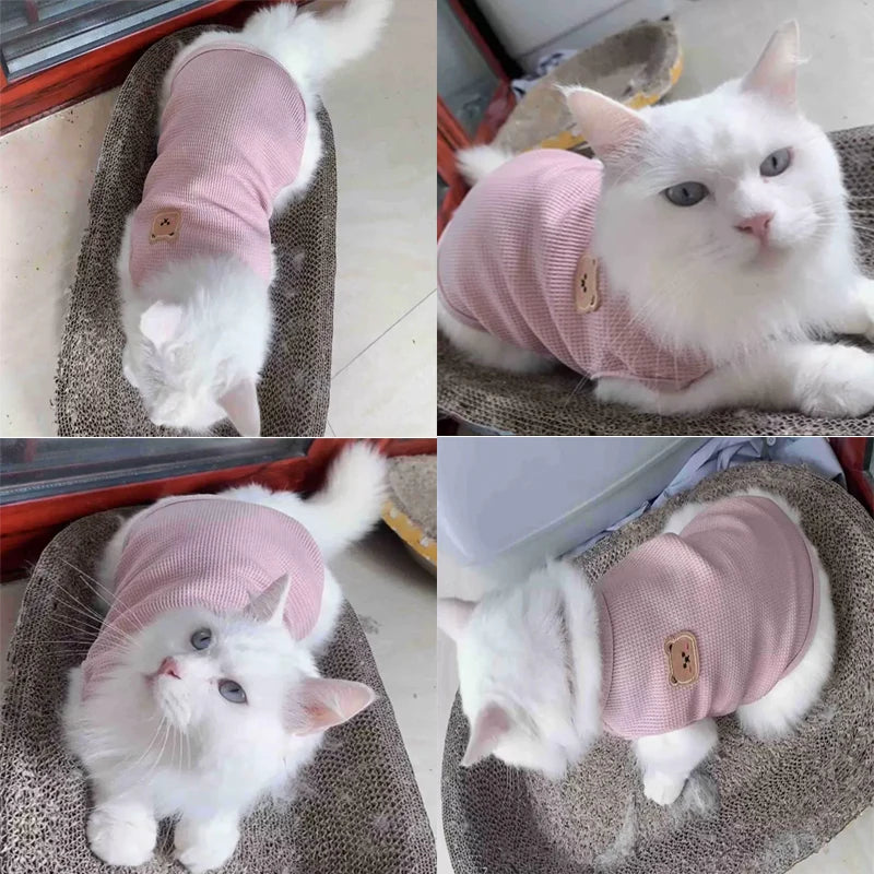 Summer Cat Dog Vest Pet Clothes Puppy T-shirt Breathable Bulldog Clothing Chihuahua French Bulldog Pullover Costumes Kitten Vest