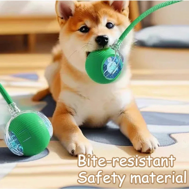 Rechargeable Interactive Pet Toy: Electric Automatic Rolling CatBall with Simulated Tail for Feline Entertainment and Engagement