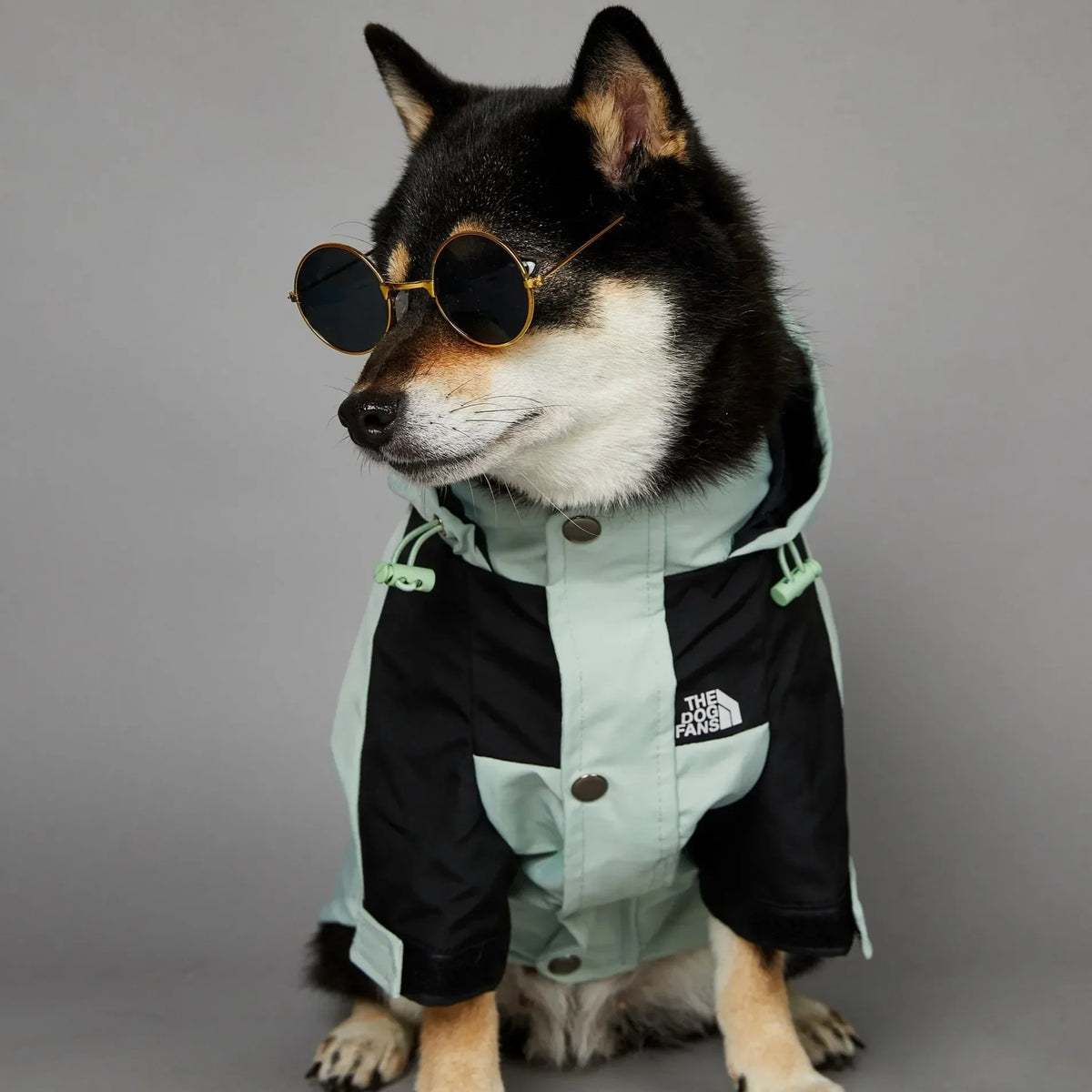 Small Dog Raincoat Clothes for Small Big Dogs Wind Coat Windbreaker French Bulldog Hoodie Octdoor Raincoats Dog Costume Coat