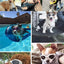 Foldable Pet Glasses Dog Goggles Sunglasses Puppy Cat Glasses UV Protection Summer Windproof Dogs Puppy Accessories Pet Supplies