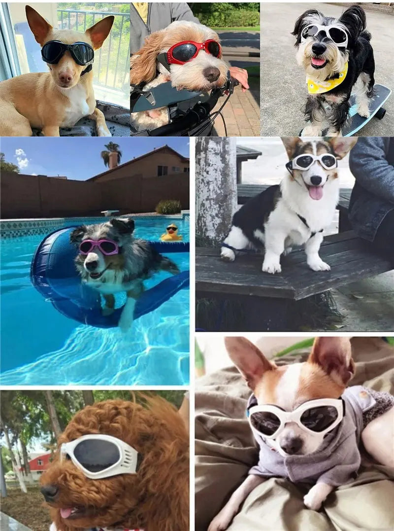 Foldable Pet Glasses Dog Goggles Sunglasses Puppy Cat Glasses UV Protection Summer Windproof Dogs Puppy Accessories Pet Supplies