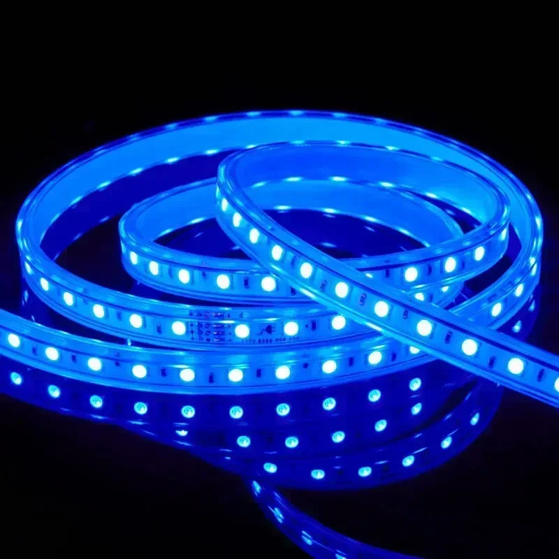Led Strip Lights 220V Waterproof 1M 2M 3M 5M 10M 20M White Led Tape 220 Volt Red Green Blue Led Lighting 5050 Smd 60Leds/M Diode