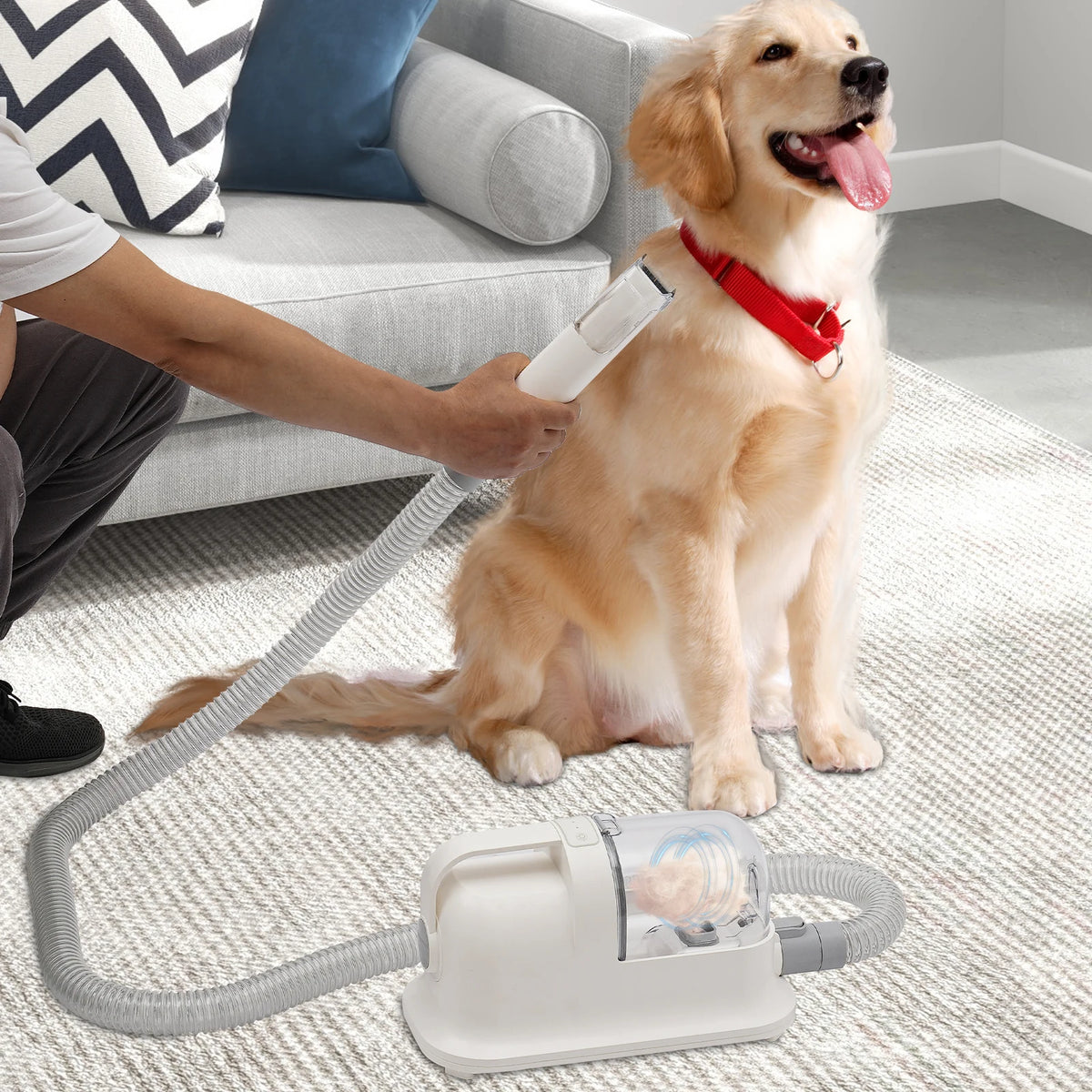 Pet Grooming Kit with Vacuum Suction Cleaner & Dryer - Low Noise