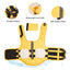Cute Summer Dog Life Jacket for Swimming Boating Pet Safety Floating Vest Life Preserver with Rescue Handle For Cats Small Dogs