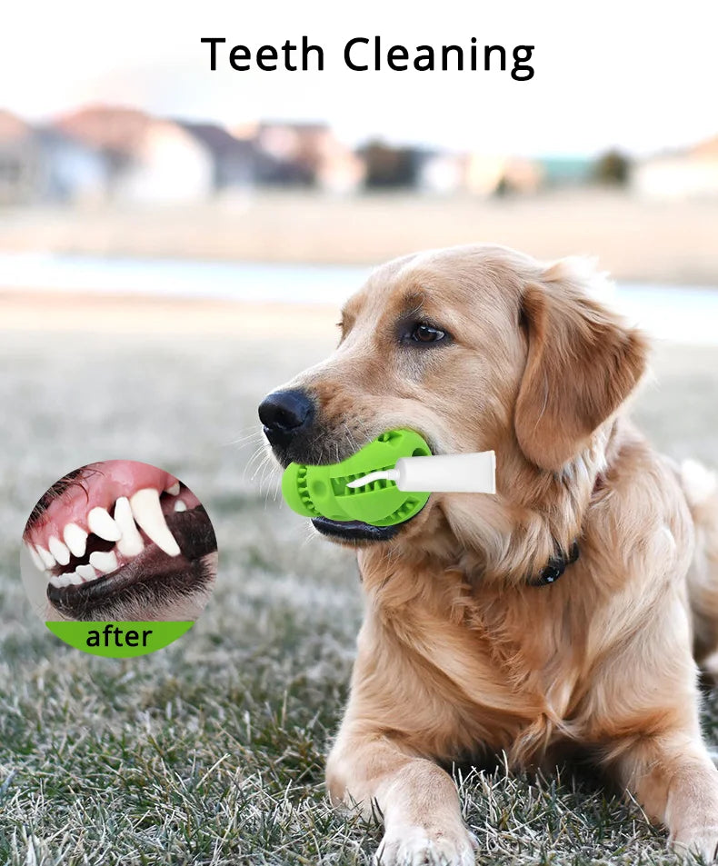 Dog Treat Dispenser Toy Soft Rubber Puppy Chew Teeth Cleaning Interactiv Supeak Small Dog Snack Toy For Training And Dental Care