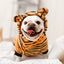 Winter Warm Dog Clothes Pet Clothes for Small Medium Dogs Chihuahua Teddy Puppy Cat Dinosaur Outfit Pet Dog Hoodies